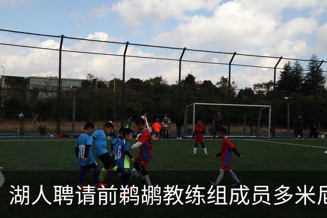 湖人聘请前鹈鹕教练组成员多米尼克·萨曼吉担任篮球运营分析师